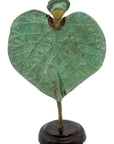 Feuille 25 cm n°18