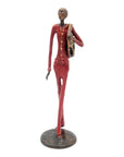 Homme 35 cm rouge n°2