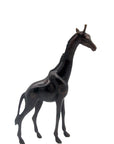 GIRP01 Bronzes d'Afrique