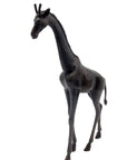 GIRM02 Bronzes d'Afrique