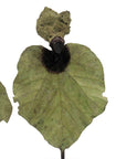 Bronze Feuille triple 45 cm vert n°1 Bronzes d'Afrique