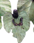 Bronze Feuille triple 45 cm vert n°2 Bronzes d'Afrique