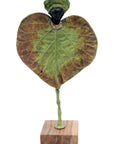 Feuille 25 cm n°16 