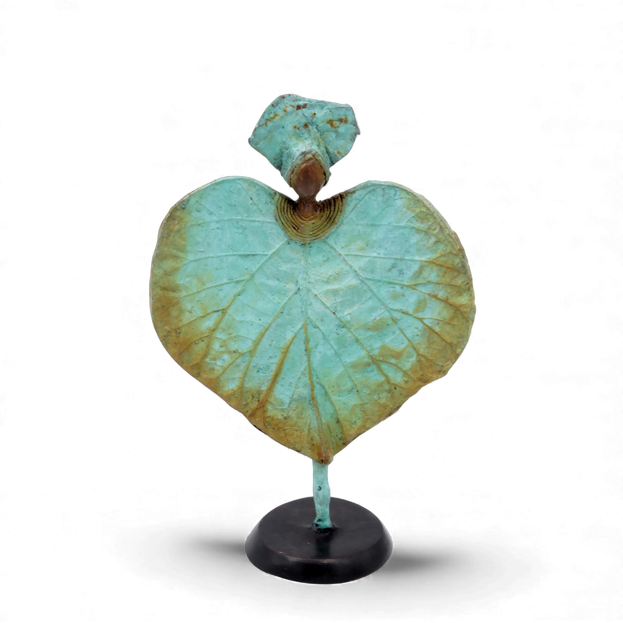 Feuille 25 cm n°7 