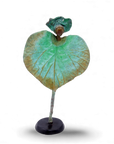 Feuille 25 cm n°11 