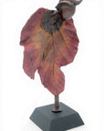 Bronze Feuille 30 cm n°2 
