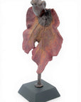 Bronze Feuille 30 cm n°2 