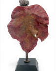 Bronze Feuille 30 cm n°2 