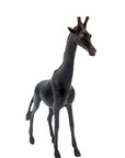 GIRP01 Bronzes d'Afrique