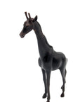 GIRP01 Bronzes d'Afrique
