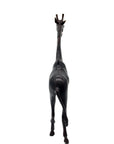 GIRP01 Bronzes d'Afrique