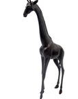 GIRG01 Bronzes d'Afrique