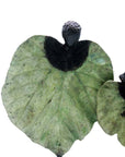 Bronze Feuille triple 45 cm vert n°1 Bronzes d'Afrique