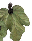 Bronze Feuille triple 45 cm vert n°2 Bronzes d'Afrique