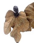 Bronze Feuille triple 45 cm marron n°2 Bronzes d'Afrique